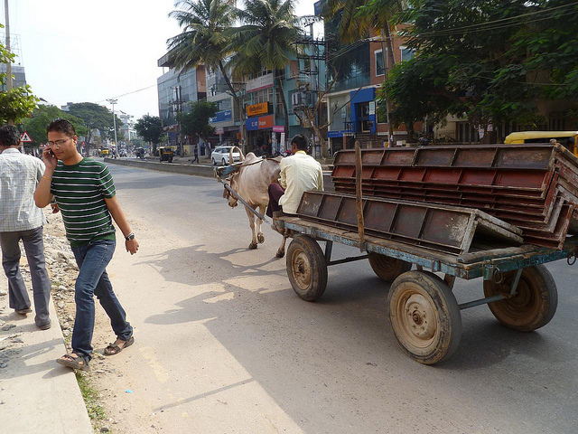 Bullock Cart